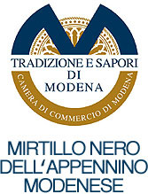Tradizione e Saprori di Modena